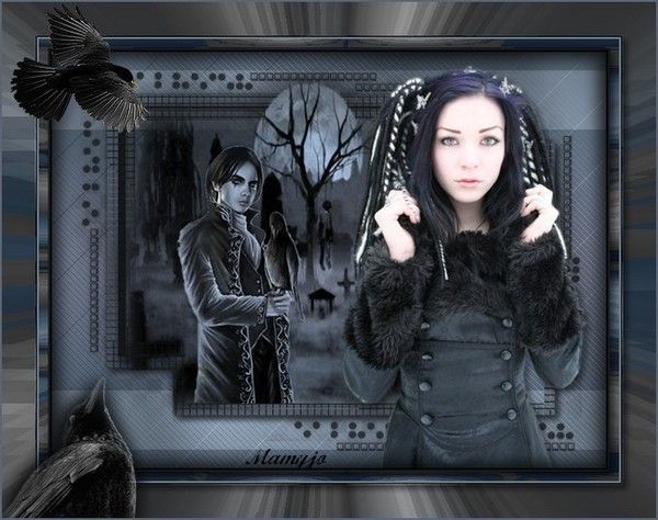 défis de janvier 2011