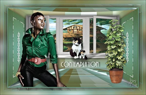 Contemplation Saturnella