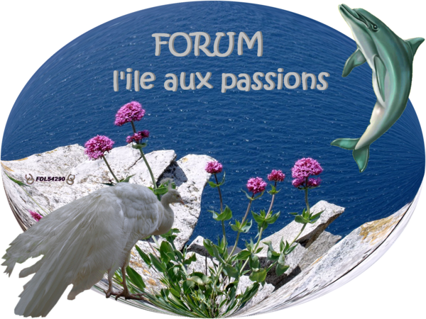 cadeau de ma soeurette lol