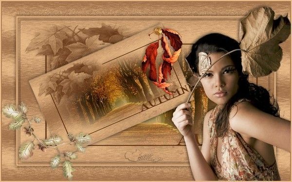 suite des défis sur le fofo de CréalinePassion